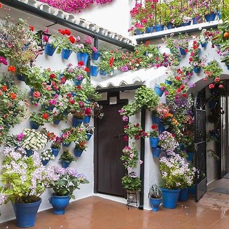 El Rincon Del Abuelo Apartment Villaviciosa de Córdoba Exterior photo