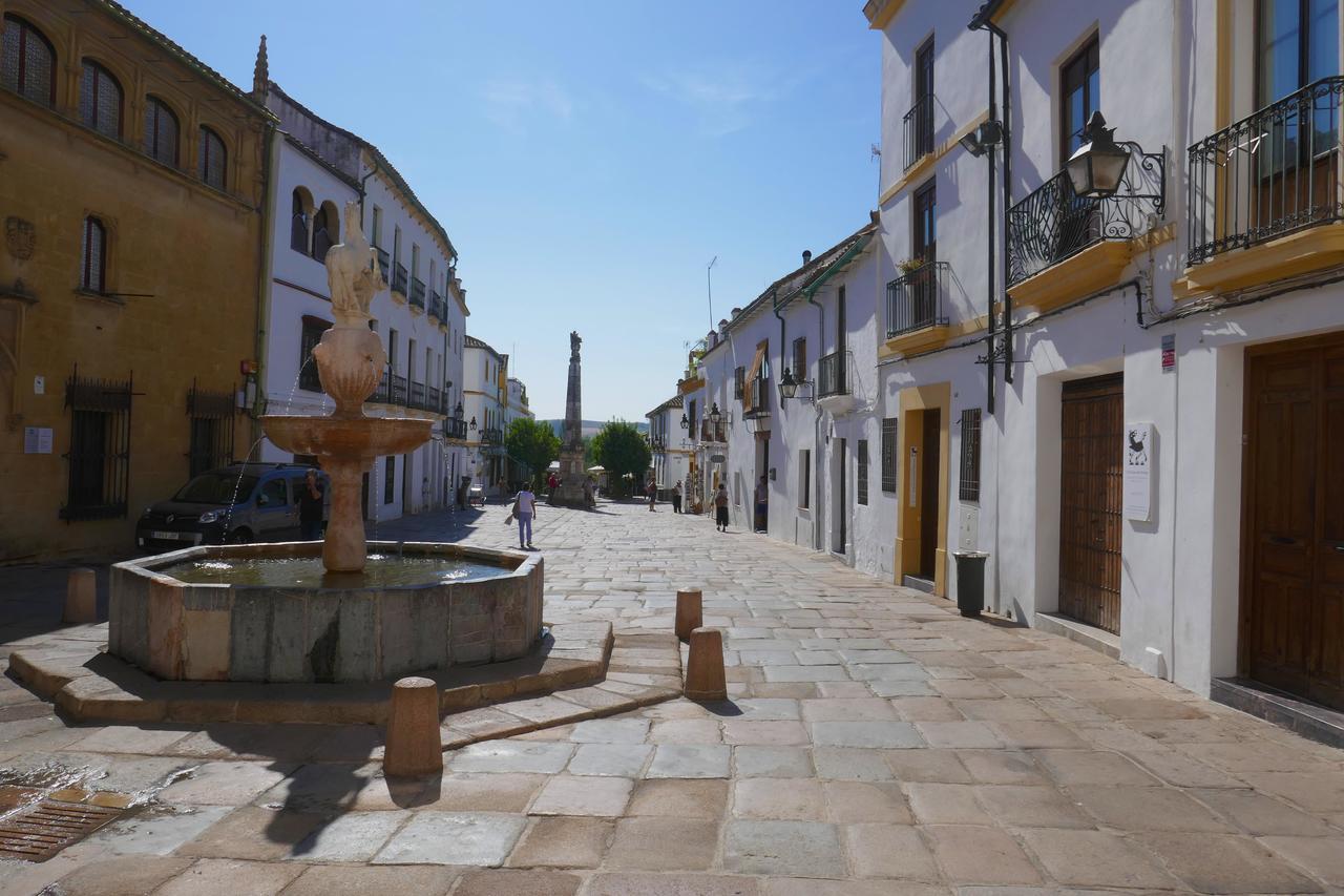 El Rincon Del Abuelo Apartment Villaviciosa de Córdoba Exterior photo